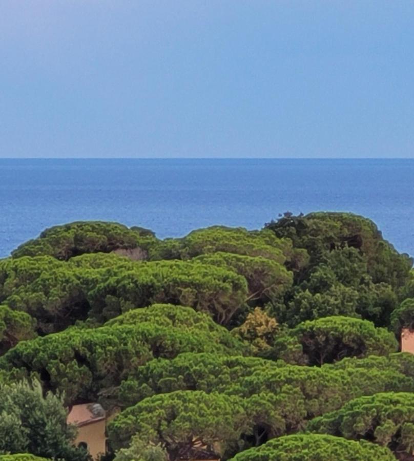 Villa Palm' Issambres 6-7 Personnes, Clim, Avec Piscine, Jardin Et Parking Prives La Garonnette-Plage Dış mekan fotoğraf