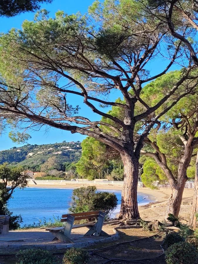 Villa Palm' Issambres 6-7 Personnes, Clim, Avec Piscine, Jardin Et Parking Prives La Garonnette-Plage Dış mekan fotoğraf