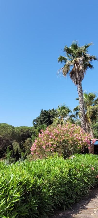 Villa Palm' Issambres 6-7 Personnes, Clim, Avec Piscine, Jardin Et Parking Prives La Garonnette-Plage Dış mekan fotoğraf
