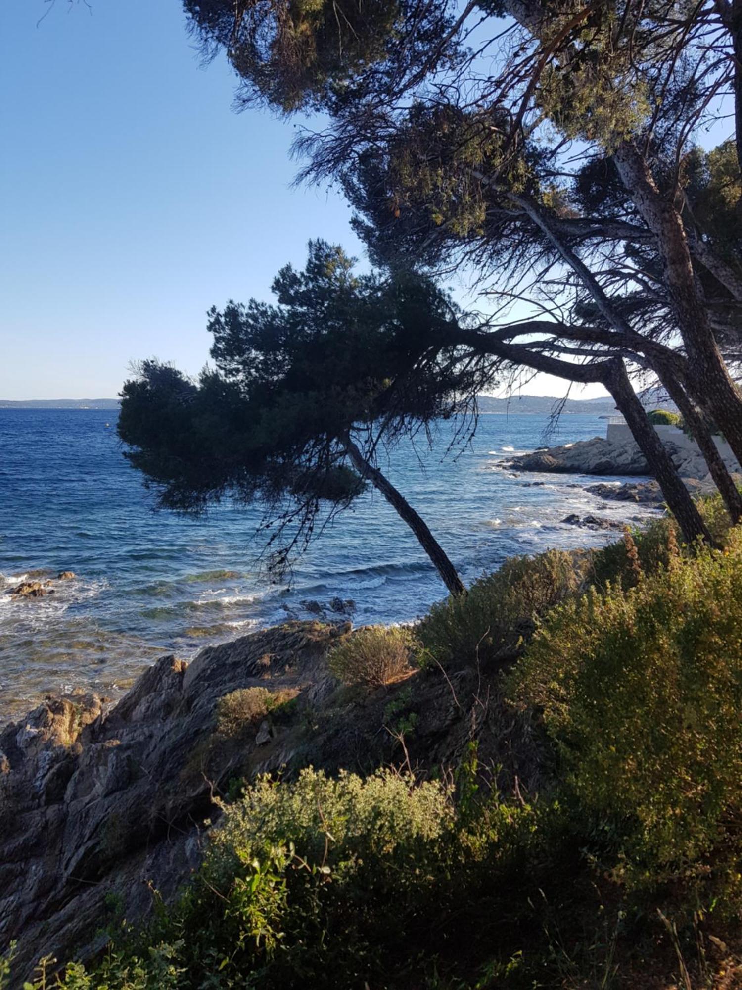 Villa Palm' Issambres 6-7 Personnes, Clim, Avec Piscine, Jardin Et Parking Prives La Garonnette-Plage Dış mekan fotoğraf