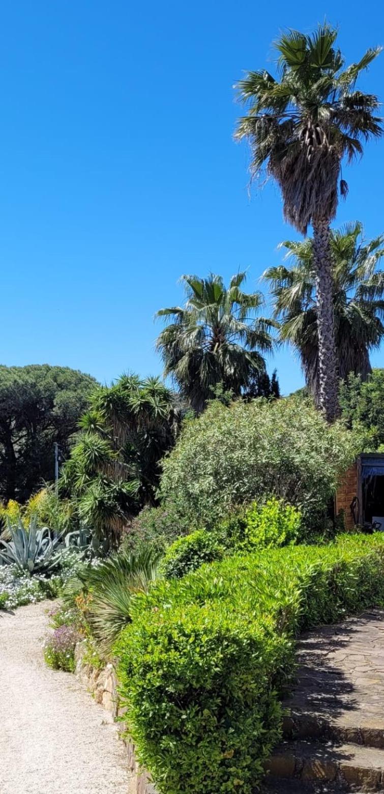 Villa Palm' Issambres 6-7 Personnes, Clim, Avec Piscine, Jardin Et Parking Prives La Garonnette-Plage Dış mekan fotoğraf